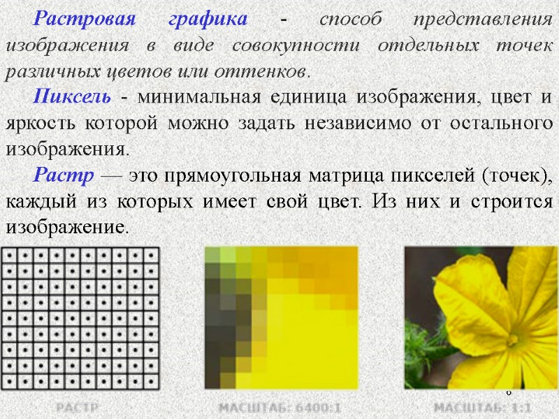 6 Растровая графика - способ представления изображения в виде совокупности отдельных точек различных цветов